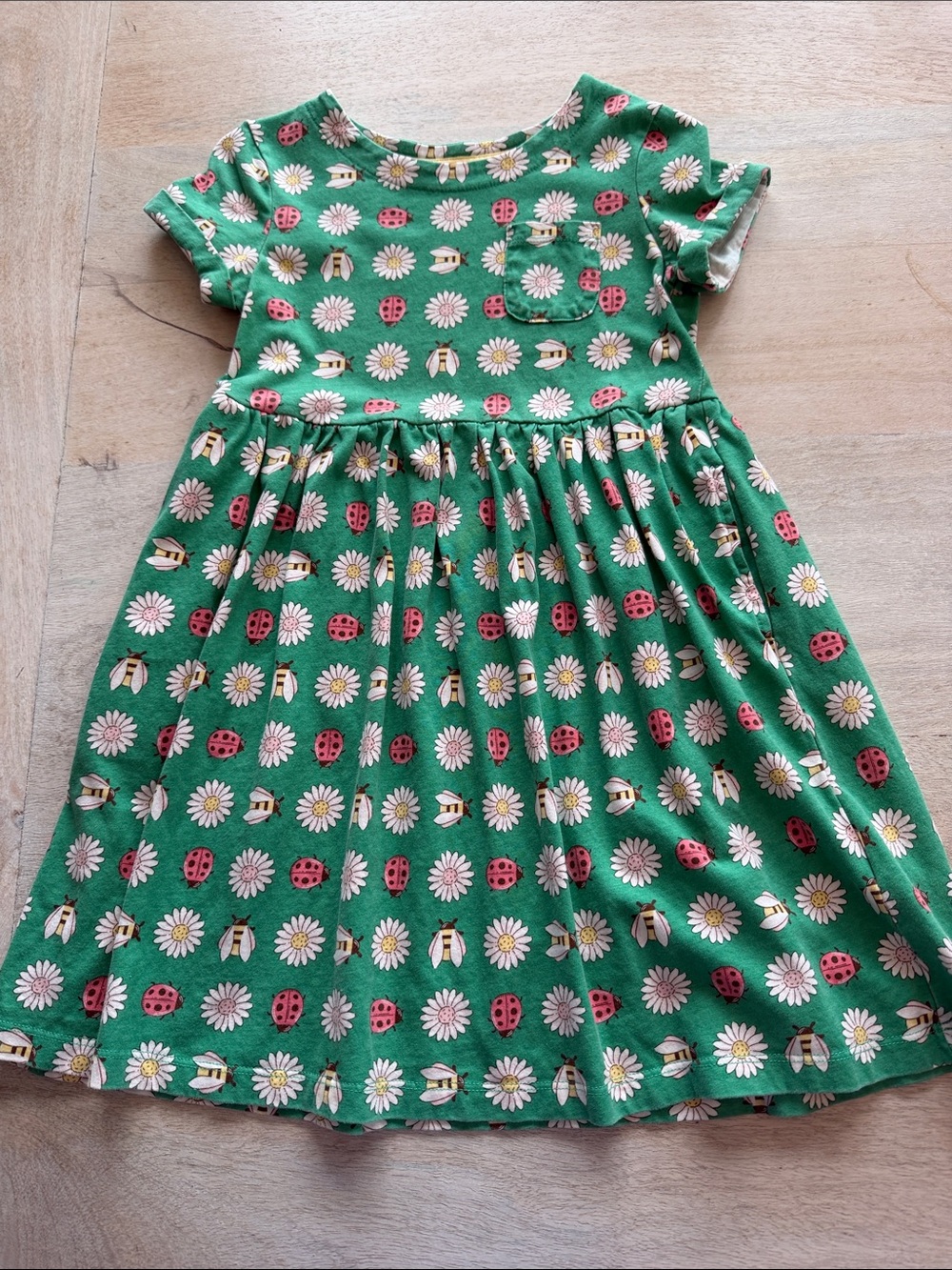 Mini Boden Green Daisy & Ladybug Pocket Dress